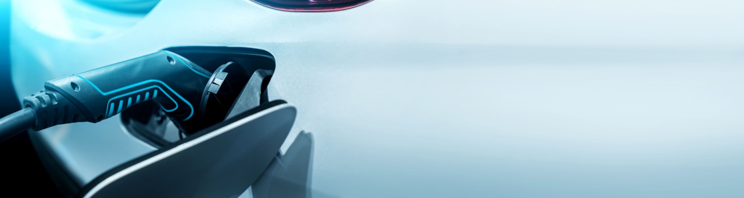 EV Service